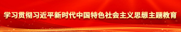 舔BB啪啪啪学习贯彻习近平新时代中国特色社会主义思想主题教育